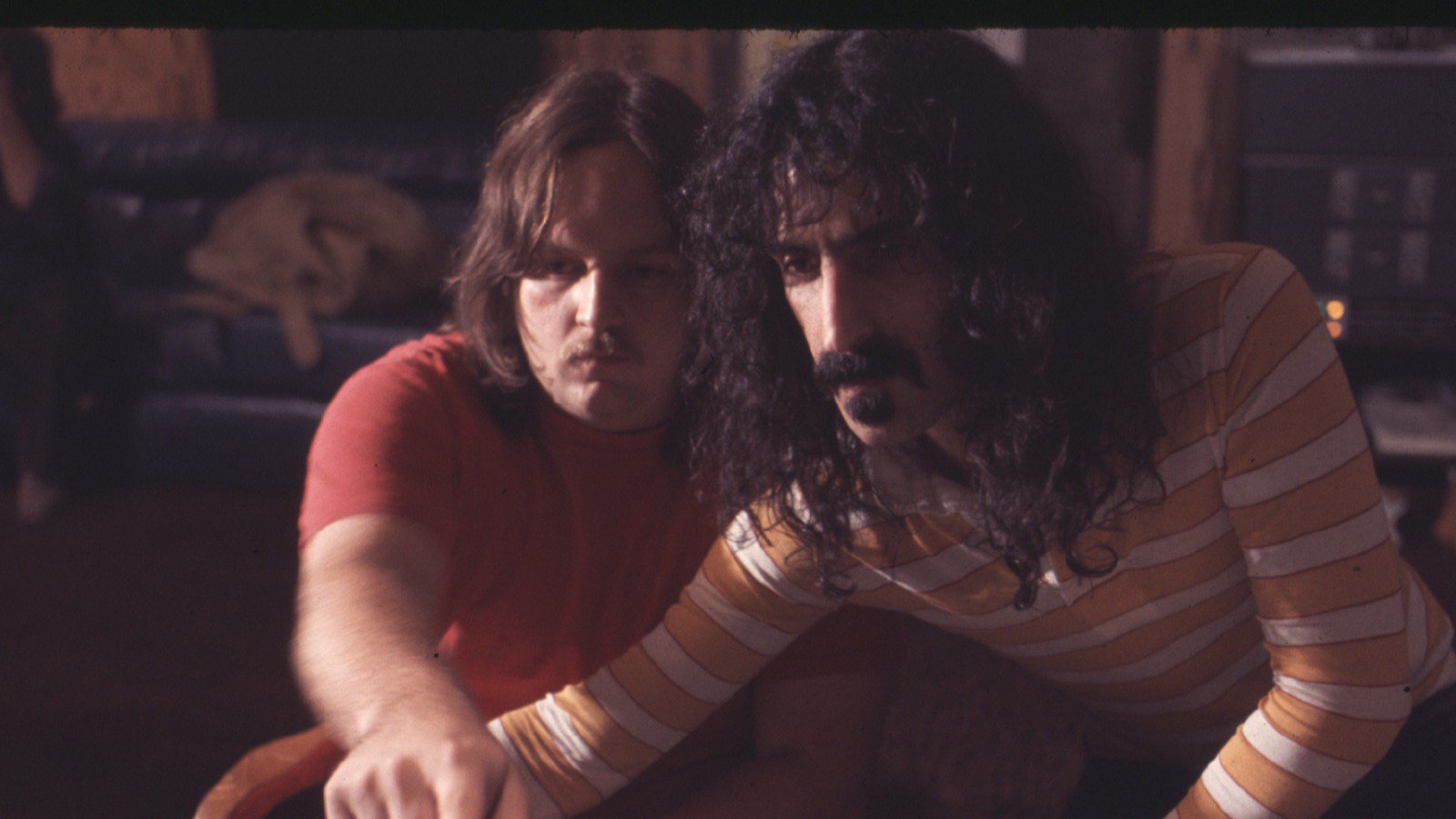 Zappa