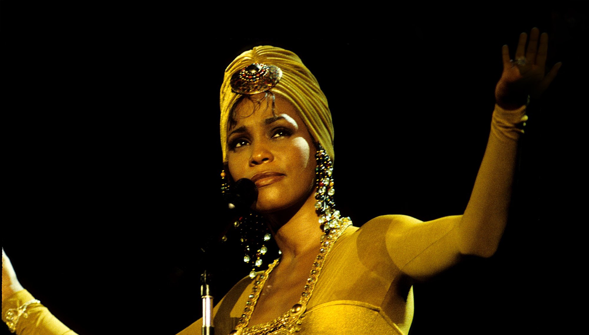 Whitney Houston <br>_– The Concert for a New South Africa (Durban)_